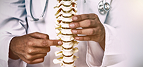Doctor Pointing Anatomical Spine